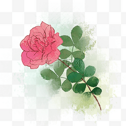 玫瑰水墨图片_泼墨花卉玫瑰