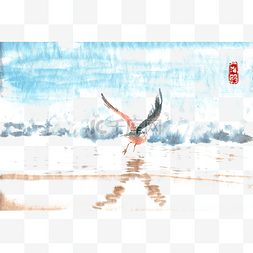 旅游沙滩上的海鸥
