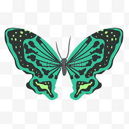 展翅图片_展翅的绿色蝴蝶插画