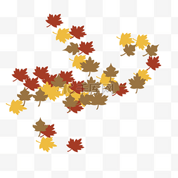 秋天黄色树叶图片图片_枫叶图片