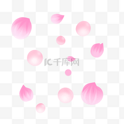 几颗珍珠图片_粉色珍珠花瓣素材