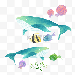 鲸鱼彩色图片_夏季海边元素装饰图