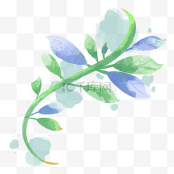 枝叶蓝绿色图片_蓝绿色水彩叶子