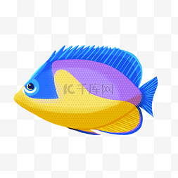 彩色深海鱼