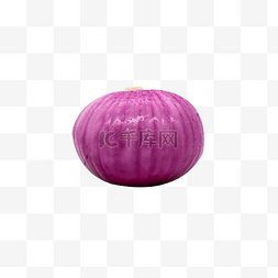 一个紫色洋葱