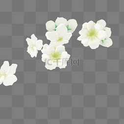 创意大自然图片_白色创意植物花朵元素