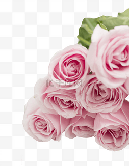 多瓣温柔粉色玫瑰鲜花花束
