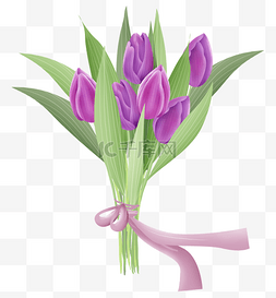郁金香种植图片_紫色郁金香花束