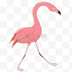粉色火烈鸟的插画