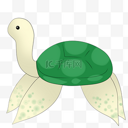 卡通海龟乌龟