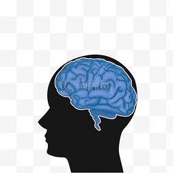 医学人的头部素材图片_头部侧切面图蓝色大脑