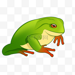 动物黄绿色图片_绿色胖青蛙PSD透明底