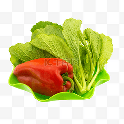 辣椒绿图片_绿色蔬菜小白菜