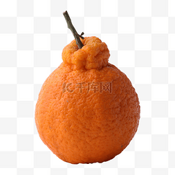 橙色丑柑