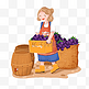 秋季水果采摘农场搬运葡萄的女孩