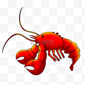 跳跃的龙虾插画