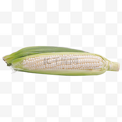 白色玉米