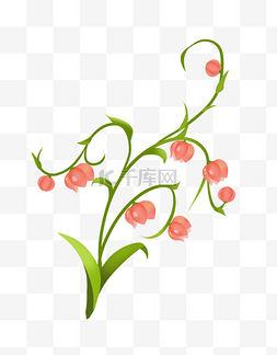 植物花藤花朵插图