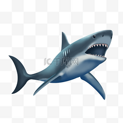 鲨鱼张嘴图片_灰色的鲨鱼