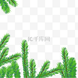 松树圣诞节图片_松树枝叶装饰素材