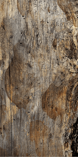 破旧木板树皮