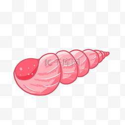 贝壳花纹图片_可爱粉色海螺