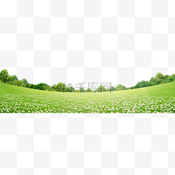 绿色草地花朵图片_绿色草坪小花朵