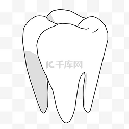 牙齿自锁图片_牙齿模型