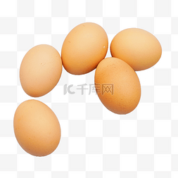 土鸡蛋营养图片_鸡蛋土鸡蛋小吃