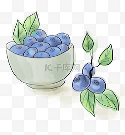 水彩一碗蓝莓