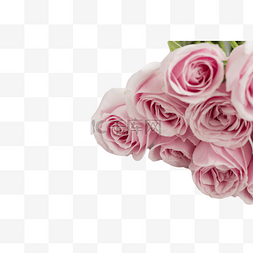 淡粉花束图片_温柔淡粉色玫瑰鲜花花束