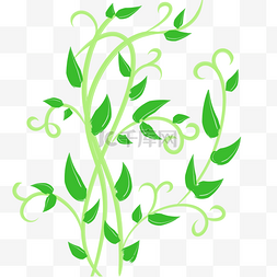 绿色卷曲装饰藤蔓图案