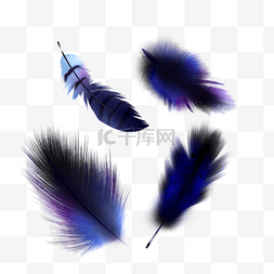 蓝色手绘羽毛图片_手绘蓝色漂浮羽毛
