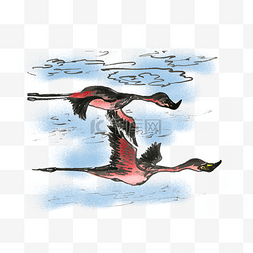 火烈鸟手绘装饰图案