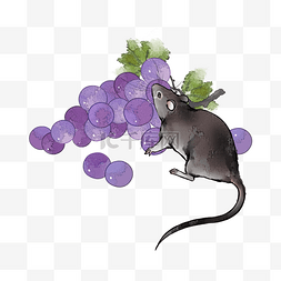 鼠老鼠生肖图片_2020鼠年生肖水墨子鼠葡萄
