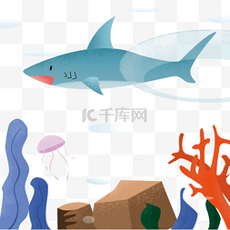 大海海草图片_海底鲨鱼海草插画