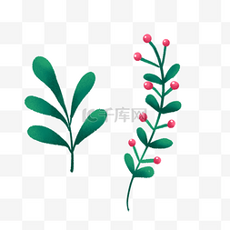 小清新植物果实图片_文艺植物小果子PNG免抠素材