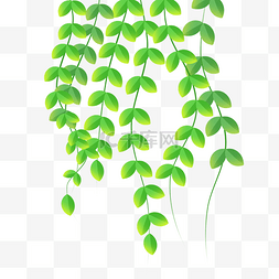 绿色系植物图片_卡通绿色藤蔓植物