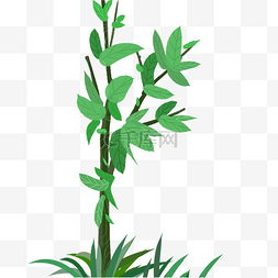 绿色植物树干元素