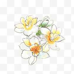 花朵意境图片_淡雅的水仙花