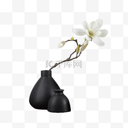 白色花朵花瓶图片_白色花朵与花瓶