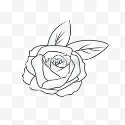 玫瑰线条手绘图片_手绘的玫瑰花线稿