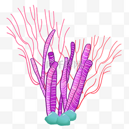 海底紫色珊瑚