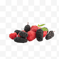 树莓和桑葚水果