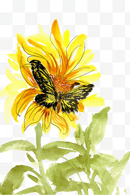 葵花与黄色蝴蝶