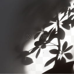 植物光影png图片_植物投影