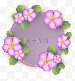 淡粉色花朵素材图片_粉色花朵可爱文字框