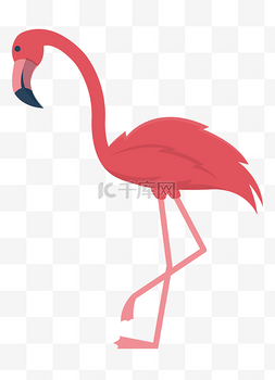 大长腿图片_红色野生动物大鸟