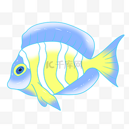 黄色海洋热带鱼