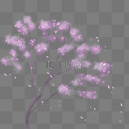 紫色樱花树随之风飘落的花瓣